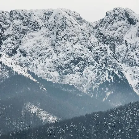 Rent Like - Szymoszkowa Ii * Zakopane