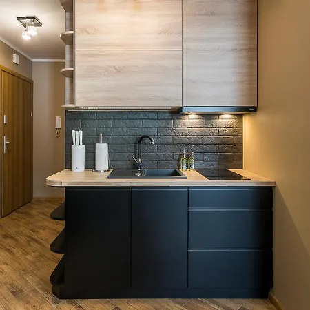 Lägenhet Rent Like - Szymoszkowa Ii Zakopane